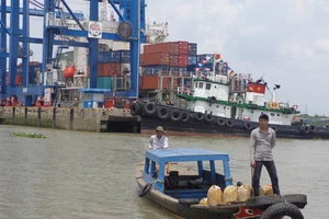  Cảng Cát Lái vẫn hoạt động tấp nập ngày nghỉ lễ 