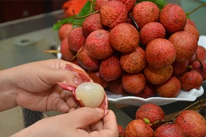 1 trẻ tử vong, 4 trẻ nhập viện do viêm não hay ăn vải?