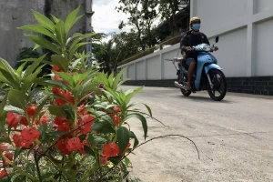 Người dân ngoại thành kỳ vọng nhiều tuyến đường dân sinh