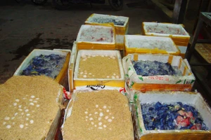 Tiêu hủy hàng trăm ký gia cầm không kiểm dịch trên đường vào TPHCM