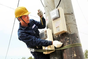 Điện xuyên rừng về với bà con ấp Thiềng Liềng, xã đảo Thạnh An