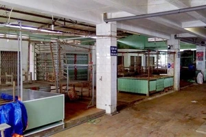 Cần Giờ ngưng mọi hoạt động trước giờ bão số 16 đổ bộ