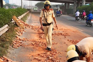 Để gạch xuống đường, tài xế container bị phạt 