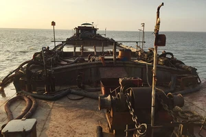 5 tàu Đồng Nai, Sài Gòn hút cát lậu ở Cần Giờ