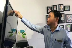 Cư dân Ehome 3 phản pháo vì chính quyền nói bụi vải là cỏ lau