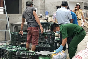 Xe khách chở thịt thối, gà sống bị bắt ở cửa ngõ TP.HCM