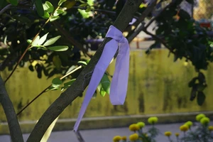 Những chuyện chưa kể về vườn cây của bác Hai Nghĩa