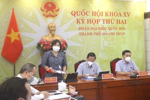 ĐBQH TP.HCM lo lắng khi cứ chuyển đổi đất lúa, đất phòng hộ sang bất động sản