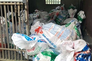 Phát hiện gần 1,6 tấn heo sữa thối từ miền Trung vào TP.HCM tiêu thụ