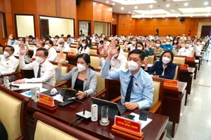 TP.HCM thống nhất chi hỗ trợ cho 13 nhóm tình nguyện viên chống dịch