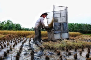 TP.HCM sẽ đưa nông dân đi 'du học'