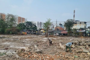 Quận Bình Tân đã bốc hơn 1.600 mộ ở nghĩa trang Bình Hưng Hòa