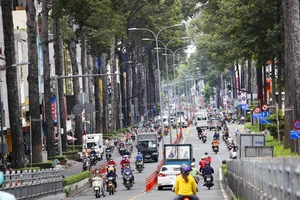 TP.HCM: Xác minh, xử lý việc tự ý gắn bảng tên đường không đúng quy định