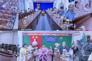 Tập huấn phần mềm dùng chung cho cán bộ TP.HCM, Bình Dương và Bà Rịa - Vũng Tàu