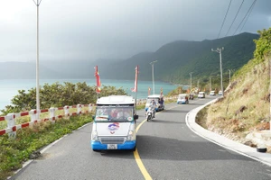 HĐND TP.HCM quyết định chuyển mục đích sử dụng 0,2269 ha rừng phòng hộ ở Côn Đảo