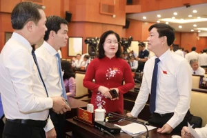 HĐND TP.HCM xem xét ban hành bảng giá đất, áp dụng từ 1-1-2026