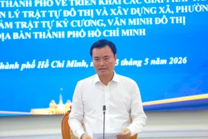 Phó Chủ tịch TP.HCM: Để đi sâu quản lý trật tự đô thị, đòi hỏi vào cuộc quyết liệt