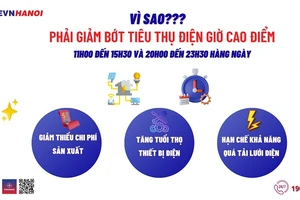 EVNHANOI hưởng ứng chiến dịch Giờ Trái đất năm 2023