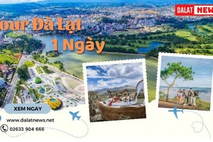 Tour Đà Lạt 1 ngày có gì hấp dẫn? Khám phá cùng DalatNews