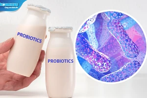 Men vi sinh cho bé tiêu chảy - Lựa chọn thông thái của nhiều mẹ bỉm sữa