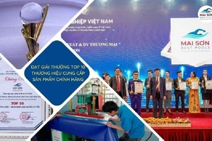 Mai Sơn Best Pools - Thương hiệu bể bơi phao cho bé được nhiều người tin chọn