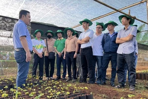 Nông dân được mùa, bội thu nhờ đặt niềm tin vào NPK Phú Mỹ