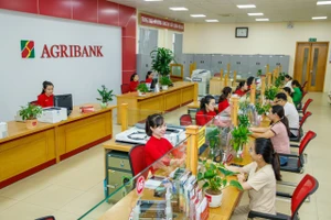 Agribank cùng Ngành Ngân hàng triển khai nhiều giải pháp hỗ trợ doanh nghiệp tiếp cận vốn vay