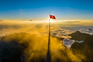 Sun Group và hành trình 10 năm làm đẹp vùng đất Sa Pa từ hệ thống cáp treo kỷ lục