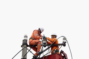 Năm 2024, EVNNPC đặt mục tiêu điện thương phẩm tăng trưởng 7,49%