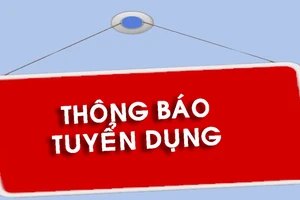 Trường Đại học Luật Thành phố Hồ Chí Minh thông báo tuyển dụng năm 2024