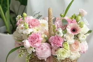 Shop Hoa Thanh Nhã - Chuyên cung cấp hoa tươi các loại trên toàn quốc