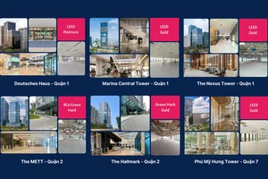 Văn phòng xanh: Xu hướng thuê văn phòng tất yếu tại TP.HCM