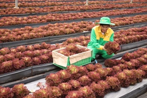 Năm thứ 4 liên tiếp Masan có tên trong Top 50 Doanh nghiệp phát triển bền vững