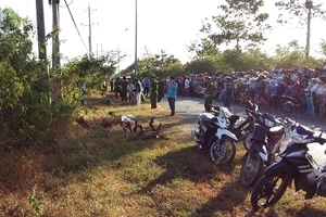 Phát hiện thi thể một phụ nữ chết trong bụi cây