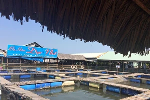 7 bè kinh doanh ăn uống trên sông hoạt động trở lại