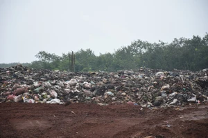 Ô nhiễm hồ Đá Đen: BR-VT làm việc với Đồng Nai