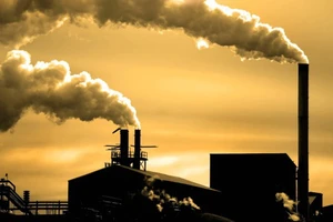 Nhiều công ty hải sản ở Bà Rịa - Vũng Tàu bị xử phạt