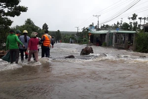 Vụ vỡ đê ở Châu Đức: Lũ kép về trong khi đê quá cũ