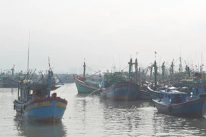 Tàu nước ngoài cứu ngư dân VN gặp nạn trong bão