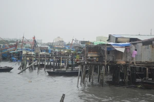 Bão số 16: Tạm ngừng di dời dân một số khu vực