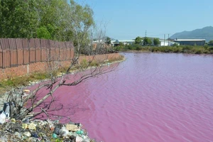  3 tiêu chí ‘bình chọn’ cơ sở gây ô nhiễm phải di dời