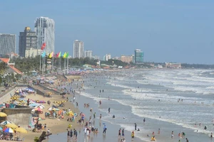 DN kinh doanh biển Bãi Sau ở Vũng Tàu nợ gần 310 tỉ tiền thuế