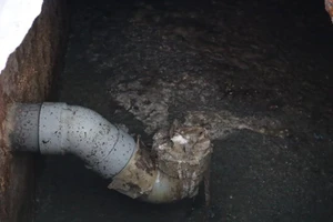 Người dân tố cáo cá nuôi bè chết do... cơ sở làm cá khô