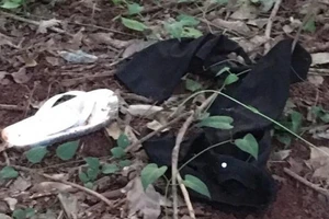 Thiếu nữ 16 tuổi chết gần như lõa thể trong vườn cao su