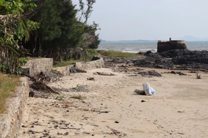 Cưỡng chế căn nhà xây không phép gần biển Hòn Bà, Vũng Tàu