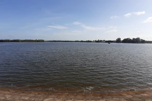 BR-VT đóng cửa cơ sở chăn nuôi xả thải bậy ra hồ chứa nước