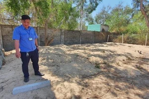 Vũng Tàu cảnh báo nạn bán đất công, đất có chủ bằng giấy giả