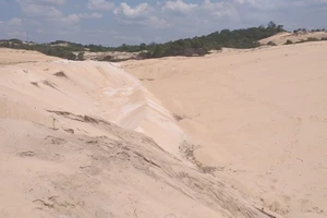 Phạt công ty khai thác cát trộm 100 triệu, tịch thu tang vật