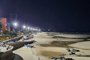 Vũng Tàu: Biển Bãi Trước, Bãi Sau sáng rực nhờ dàn đèn cao áp