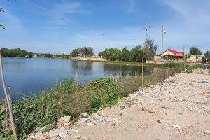 Vây bắt cá sấu trong hồ nước ở Vũng Tàu